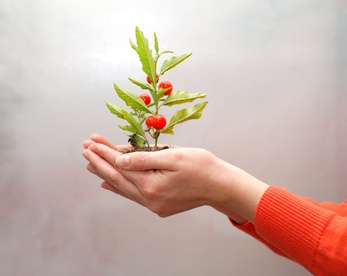 Fotolia_5766086_XS Giving cropped.jpg